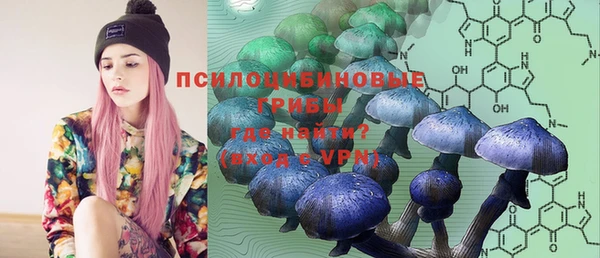 прущие грибы Медногорск