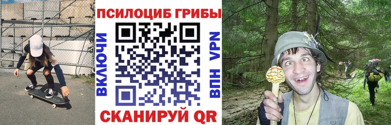 Псилоцибиновые грибы GOLDEN TEACHER  Купить закладки  Красногорск 